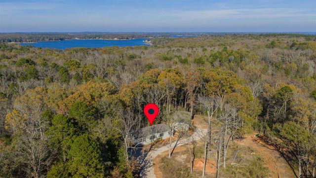 MH 2 PR 52423, Leesburg, TX 75451