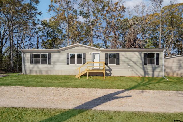 MH 2 PR 52423, Leesburg, TX 75451