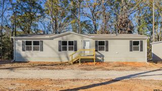 MH 2 PR 52423, Leesburg, TX 75451