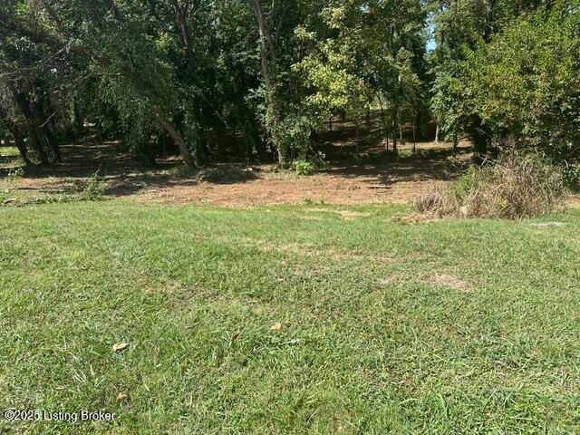 916 Woods Run Rd, Bardstown, KY 40004