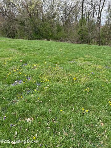 916 Woods Run Rd, Bardstown, KY 40004