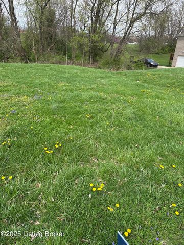 916 Woods Run Rd, Bardstown, KY 40004