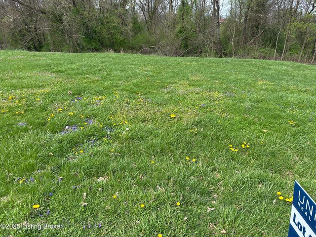 916 Woods Run Rd, Bardstown, KY 40004