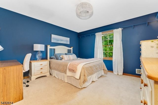 4 Drake Ct, Holland Twp., NJ 08848