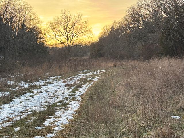 13449 State Highway J 13449, Conway, MO 65632