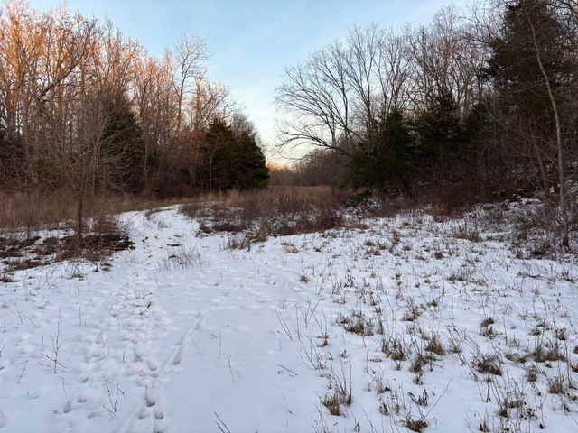 13449 State Highway J 13449, Conway, MO 65632