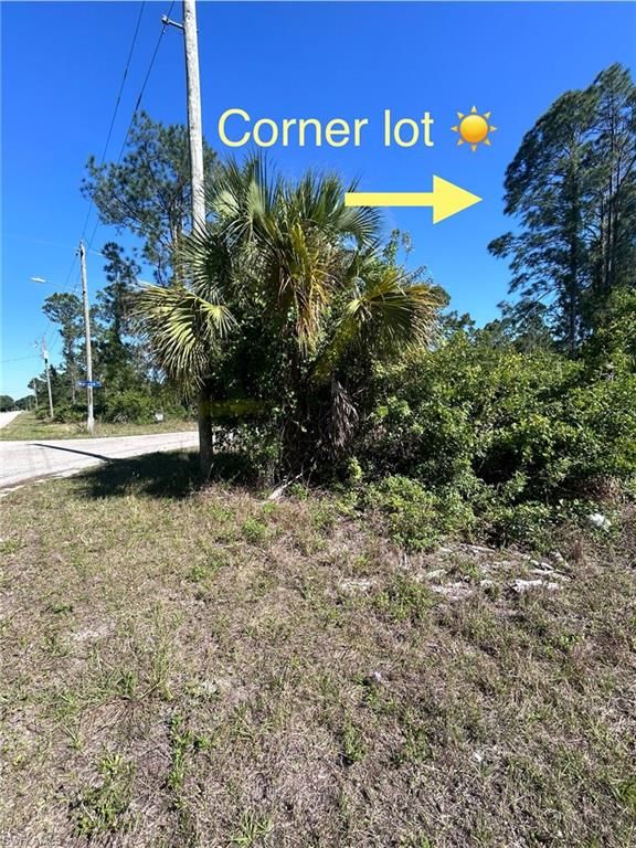 3706 E 21st ST, ALVA, FL 33920 — photo 2