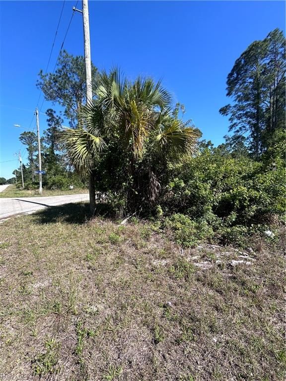 3706 E 21st ST, ALVA, FL 33920 — photo 4