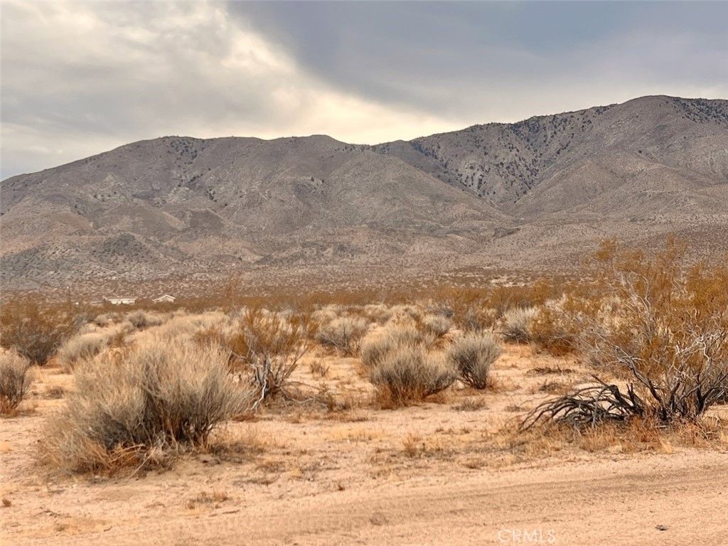 Image 2 of property listing at 0 Ocotillo Road, Johnson Valley, CA 92285