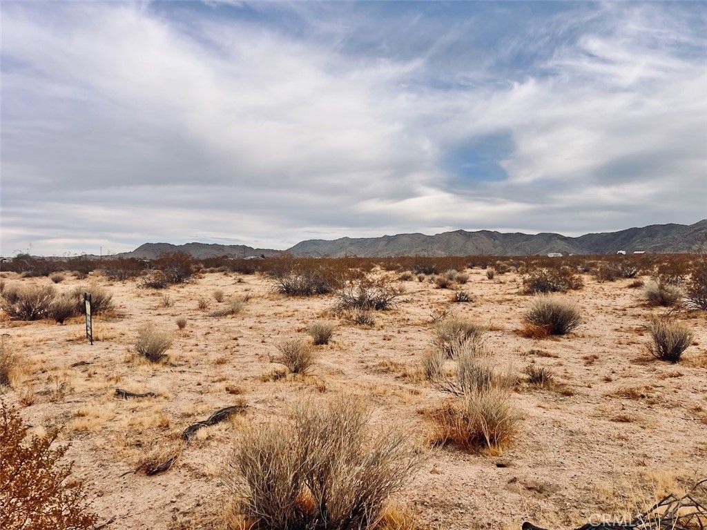 Image 7 of property listing at 0 Ocotillo Road, Johnson Valley, CA 92285