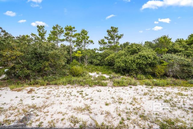 Ono North Loop West, Orange Beach, AL 36561