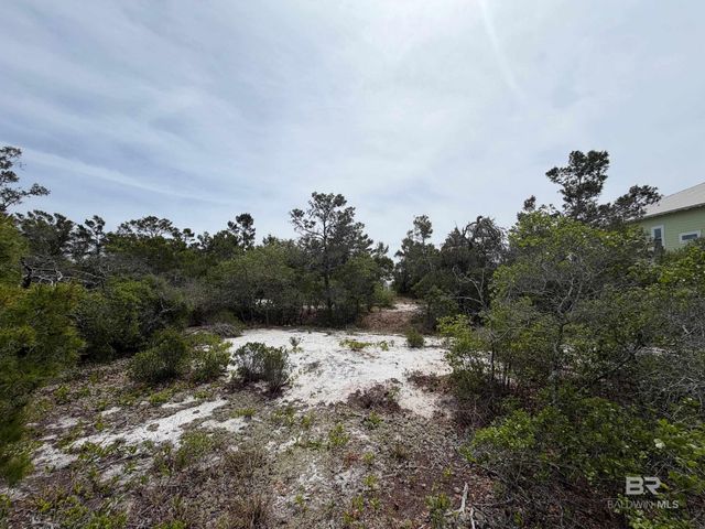 Ono North Loop West, Orange Beach, AL 36561