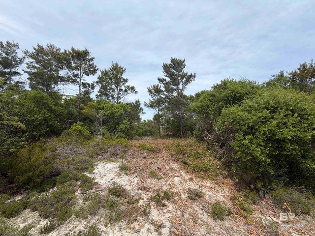 Ono North Loop West, Orange Beach, AL 36561