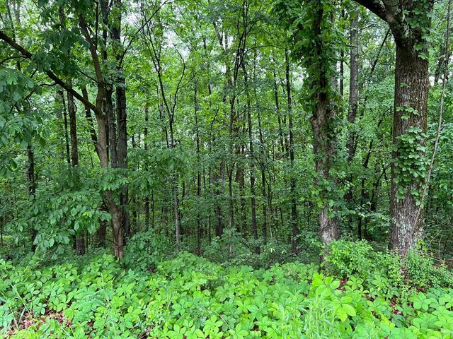 0 W Nettleton 00, Jonesboro, AR 72401