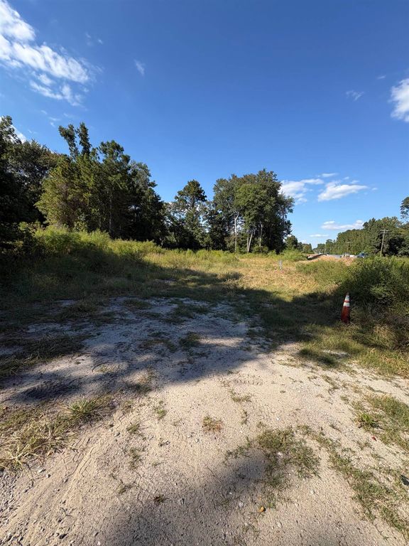 TBD Red Bluff Rd., Loris, SC 29569 — photo 3