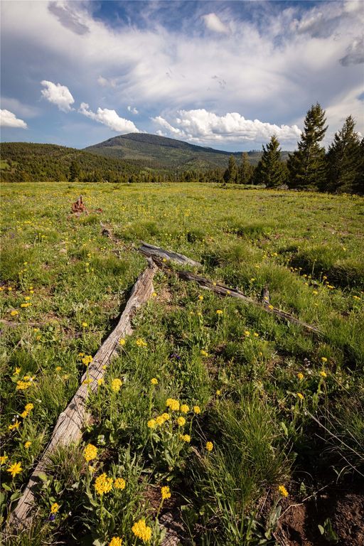 Tract 8,9,10 Garnet Range, Drummond, MT 59832 photo 11