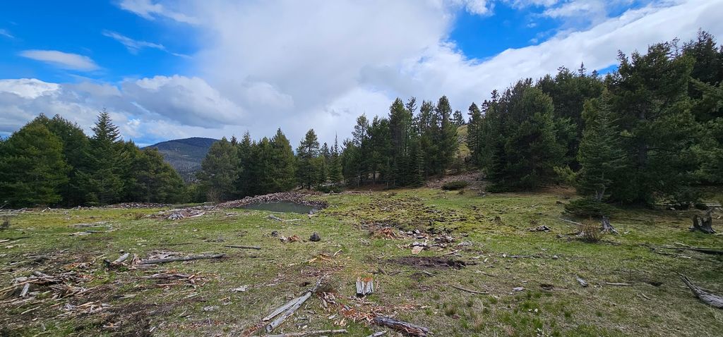 Tract 8,9,10 Garnet Range, Drummond, MT 59832 photo 13