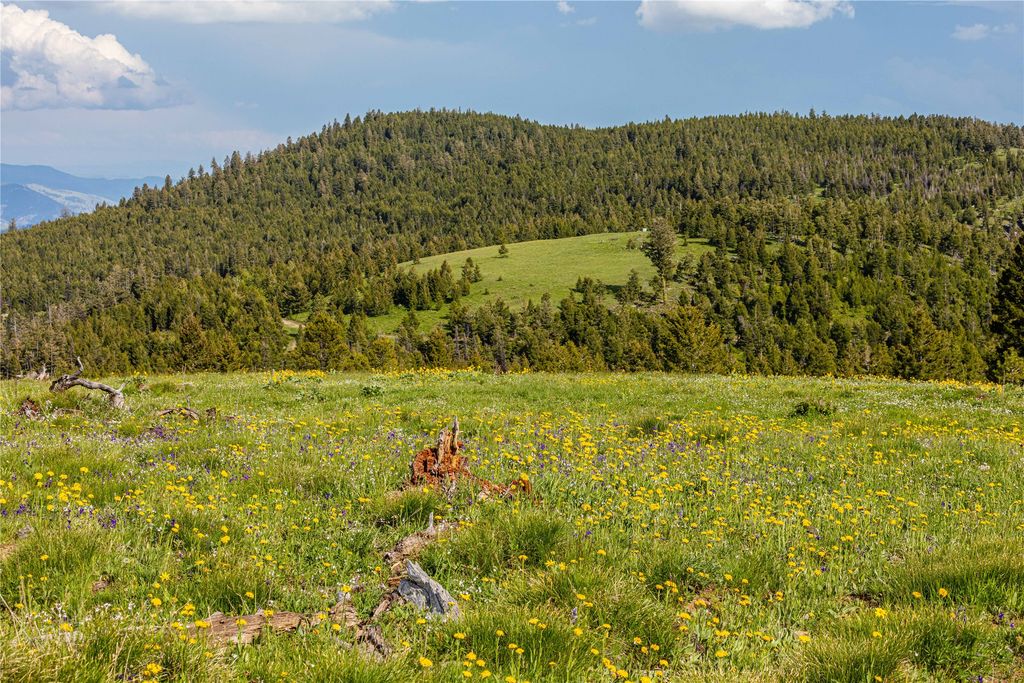 Tract 8,9,10 Garnet Range, Drummond, MT 59832 photo 17