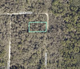 Packingham DR, Webster, FL 33597