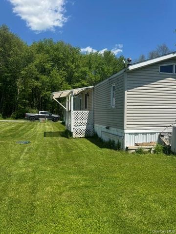60 Riveredge Park Trail, Burlingham, NY 12722