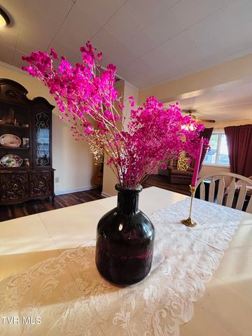 1644 Redwood Drive, Kingsport, TN 37664