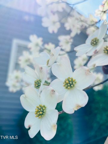 1644 Redwood Drive, Kingsport, TN 37664