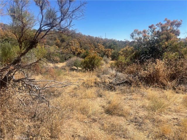56768 Dickson Hills Road, Anza, CA 92539