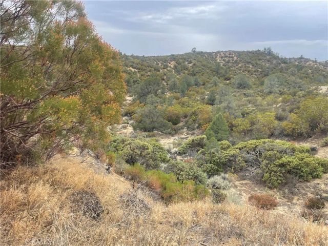 56768 Dickson Hills Road, Anza, CA 92539