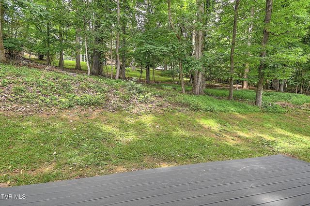 3718 Cheekwood Drive, Kingsport, TN 37660