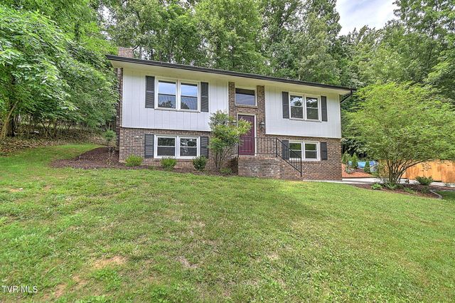 3718 Cheekwood Drive, Kingsport, TN 37660