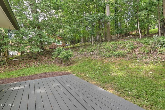 3718 Cheekwood Drive, Kingsport, TN 37660