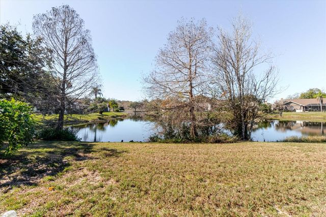 802 CENTERWOOD DRIVE, Tarpon Springs, FL 34688