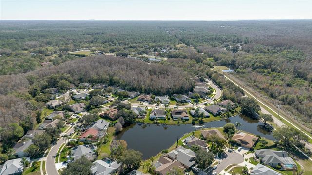802 CENTERWOOD DRIVE, Tarpon Springs, FL 34688