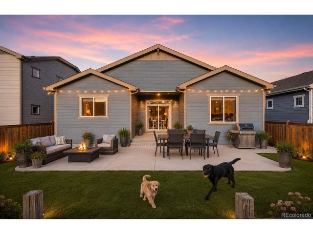 1170 Mcmurdo Cir, Castle Rock, CO 80108