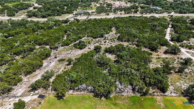 988 Earle Oak Avenue, Bulverde, TX 78163