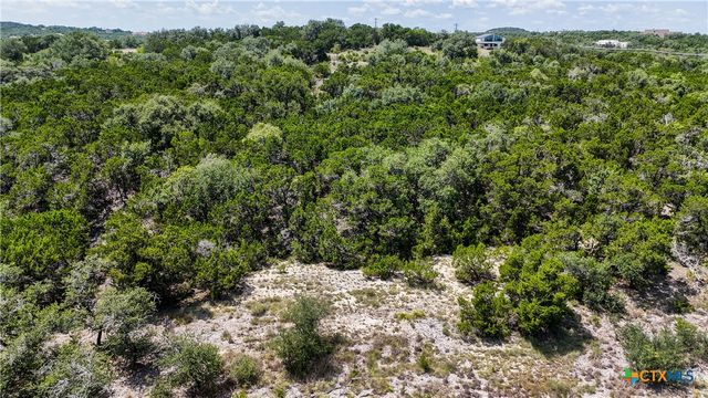988 Earle Oak Avenue, Bulverde, TX 78163