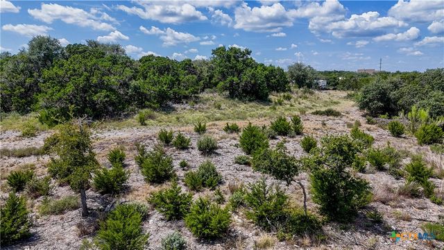 988 Earle Oak Avenue, Bulverde, TX 78163