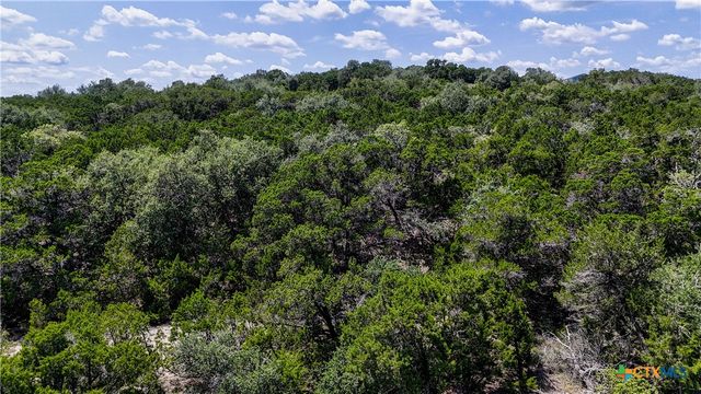 988 Earle Oak Avenue, Bulverde, TX 78163