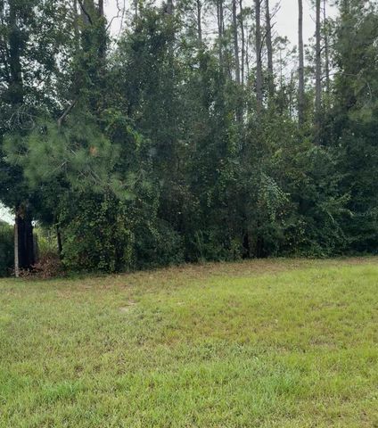 LAKE SMITH ROAD, Umatilla, FL 32784