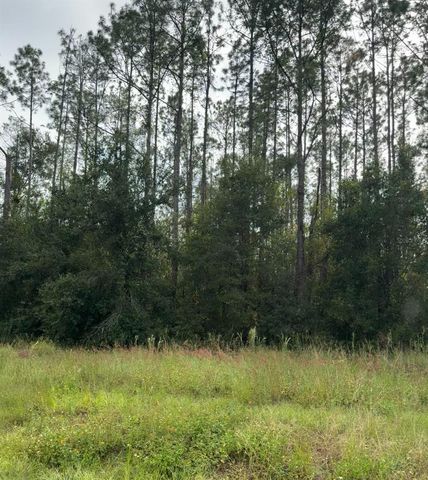 LAKE SMITH ROAD, Umatilla, FL 32784
