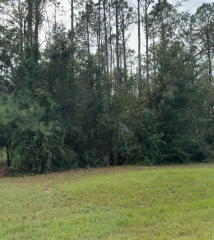 LAKE SMITH ROAD, Umatilla, FL 32784