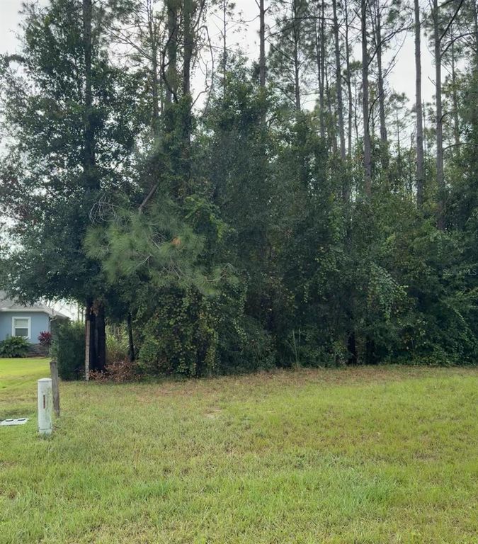 LAKE SMITH ROAD, Umatilla, FL 32784