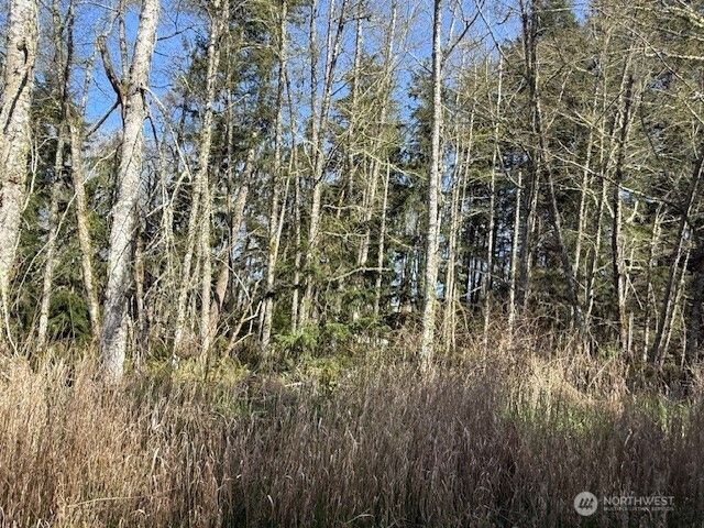 0 Lot 16 Ander Park Road, Freeland, WA 98249