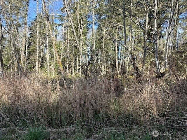0 Lot 16 Ander Park Road, Freeland, WA 98249