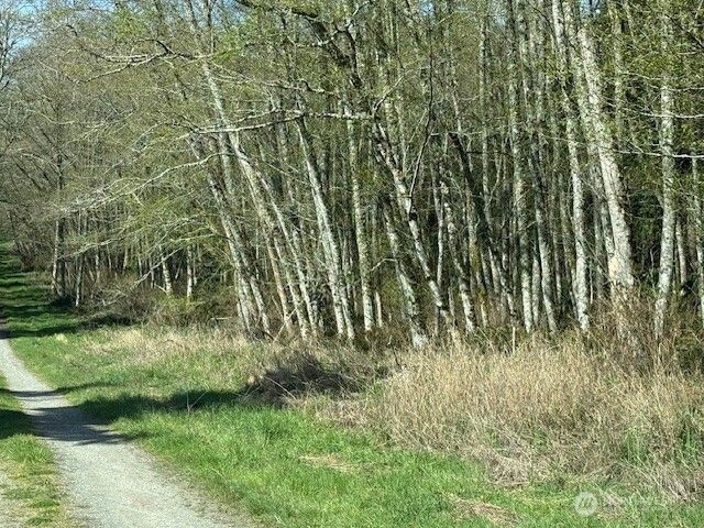 0 Lot 16 Ander Park Road, Freeland, WA 98249