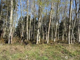0 Lot 16 Ander Park Road, Freeland, WA 98249