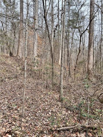 509 Crowe Creek Road, Six Mile, SC 29682