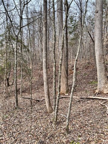 509 Crowe Creek Road, Six Mile, SC 29682