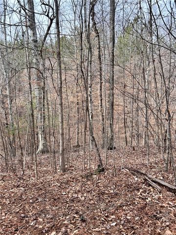 509 Crowe Creek Road, Six Mile, SC 29682