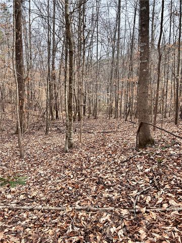 509 Crowe Creek Road, Six Mile, SC 29682